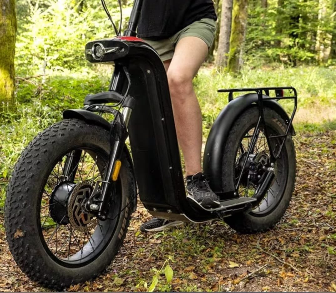 WhatsApp Image 2026-02-11 at 22.44.36 (1)