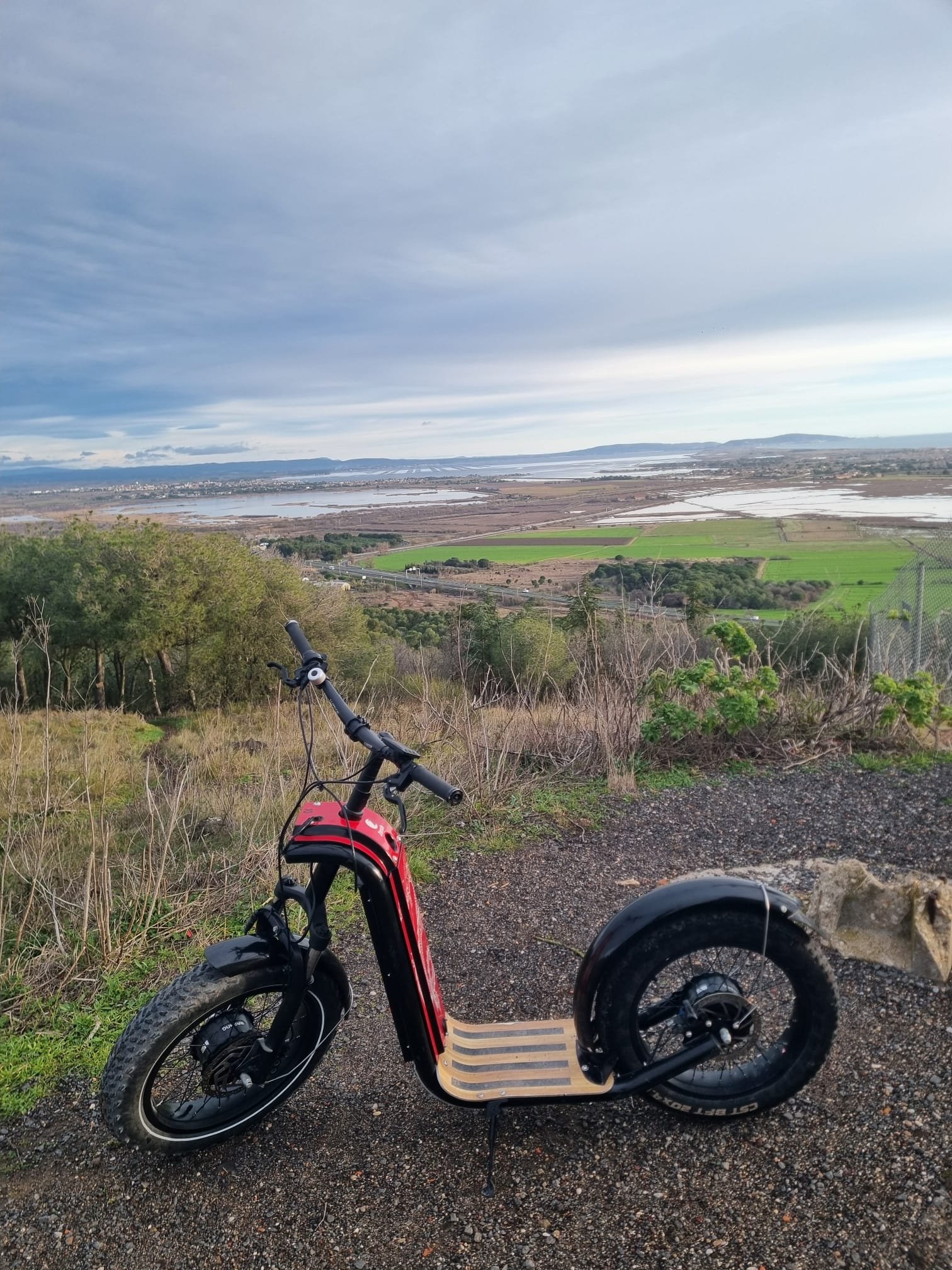 WhatsApp Image 2026-02-11 at 22.51.22