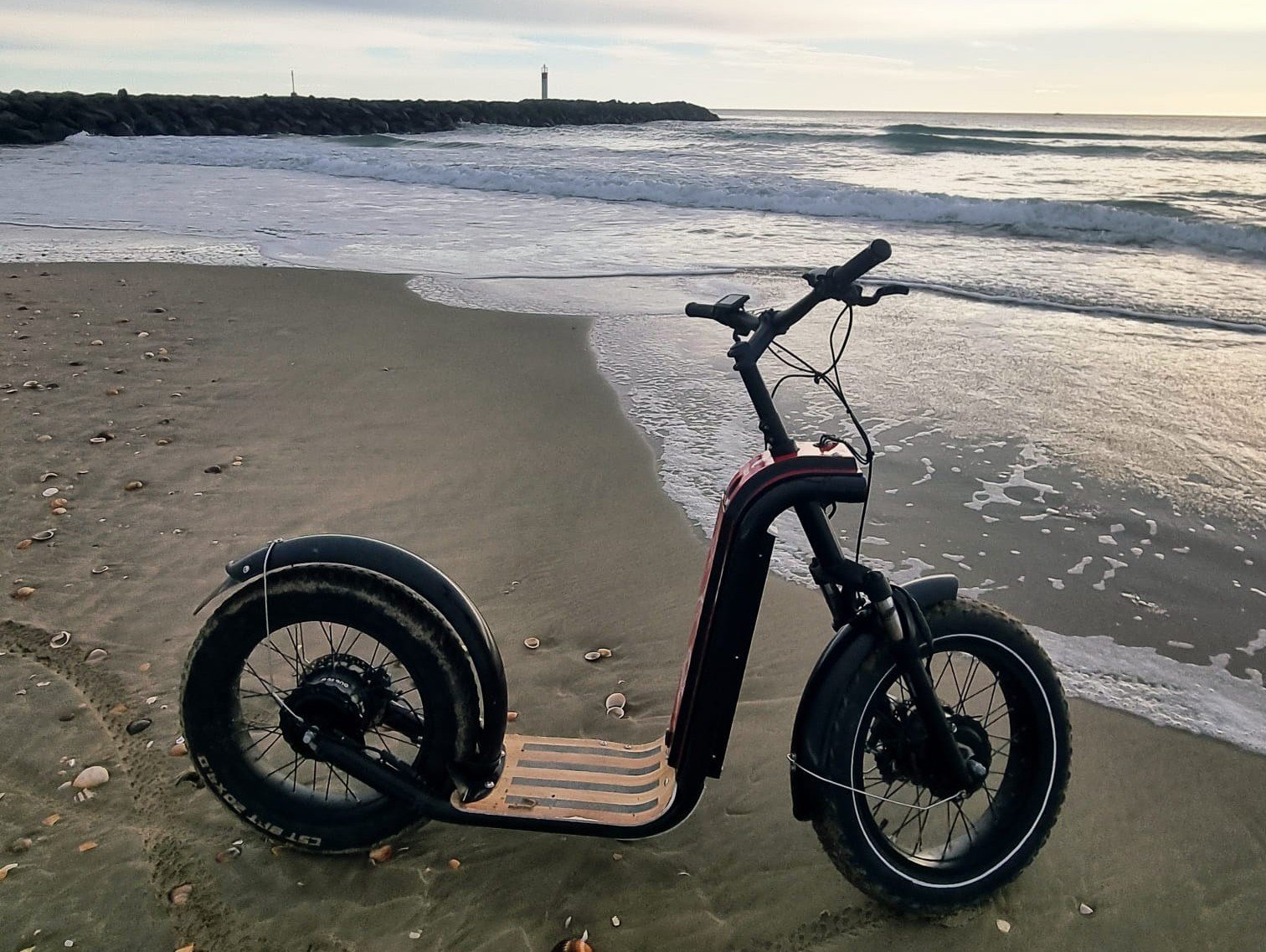 WhatsApp Image 2026-02-11 at 22.51.23