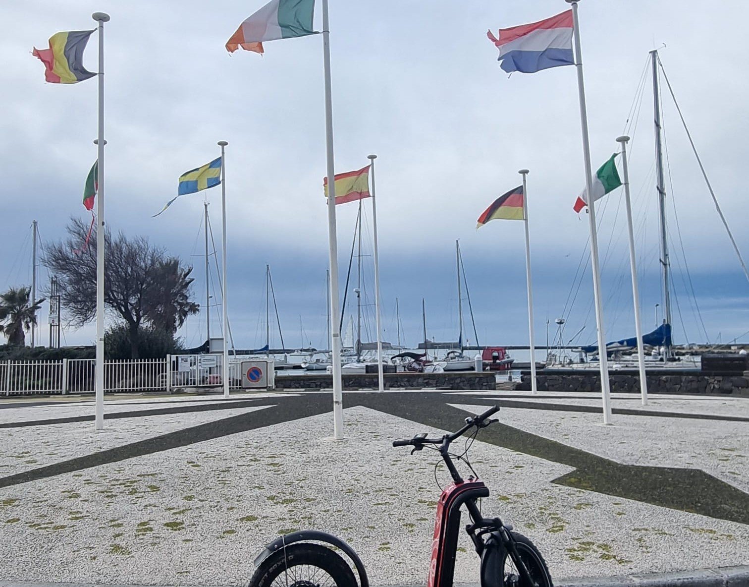 WhatsApp Image 2026-02-11 at 22.51.25