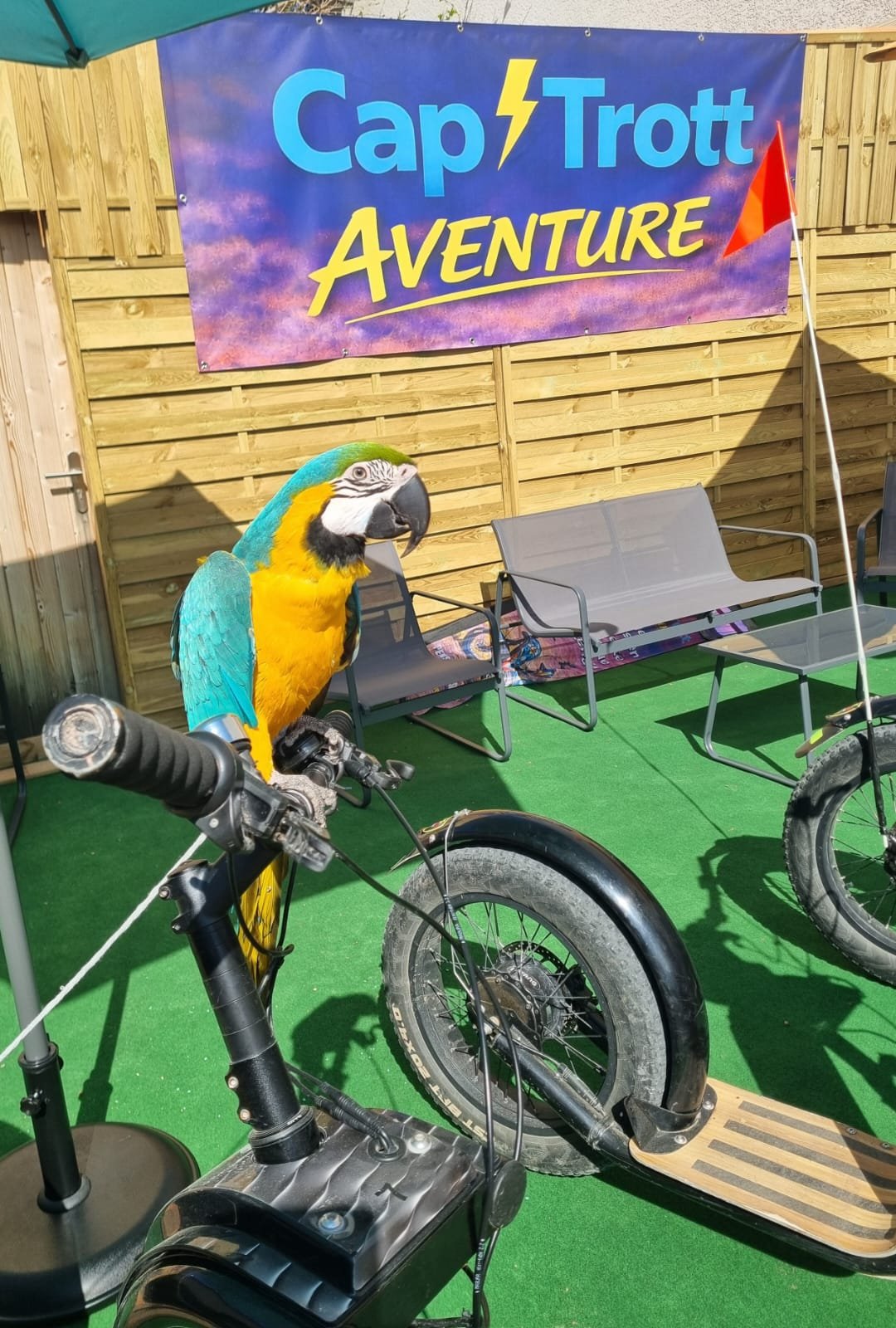 WhatsApp Image 2026-03-23 at 09.24.48 (2)